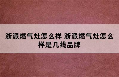 浙派燃气灶怎么样 浙派燃气灶怎么样是几线品牌